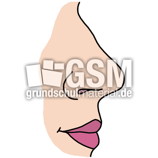 Nase_farb.jpg